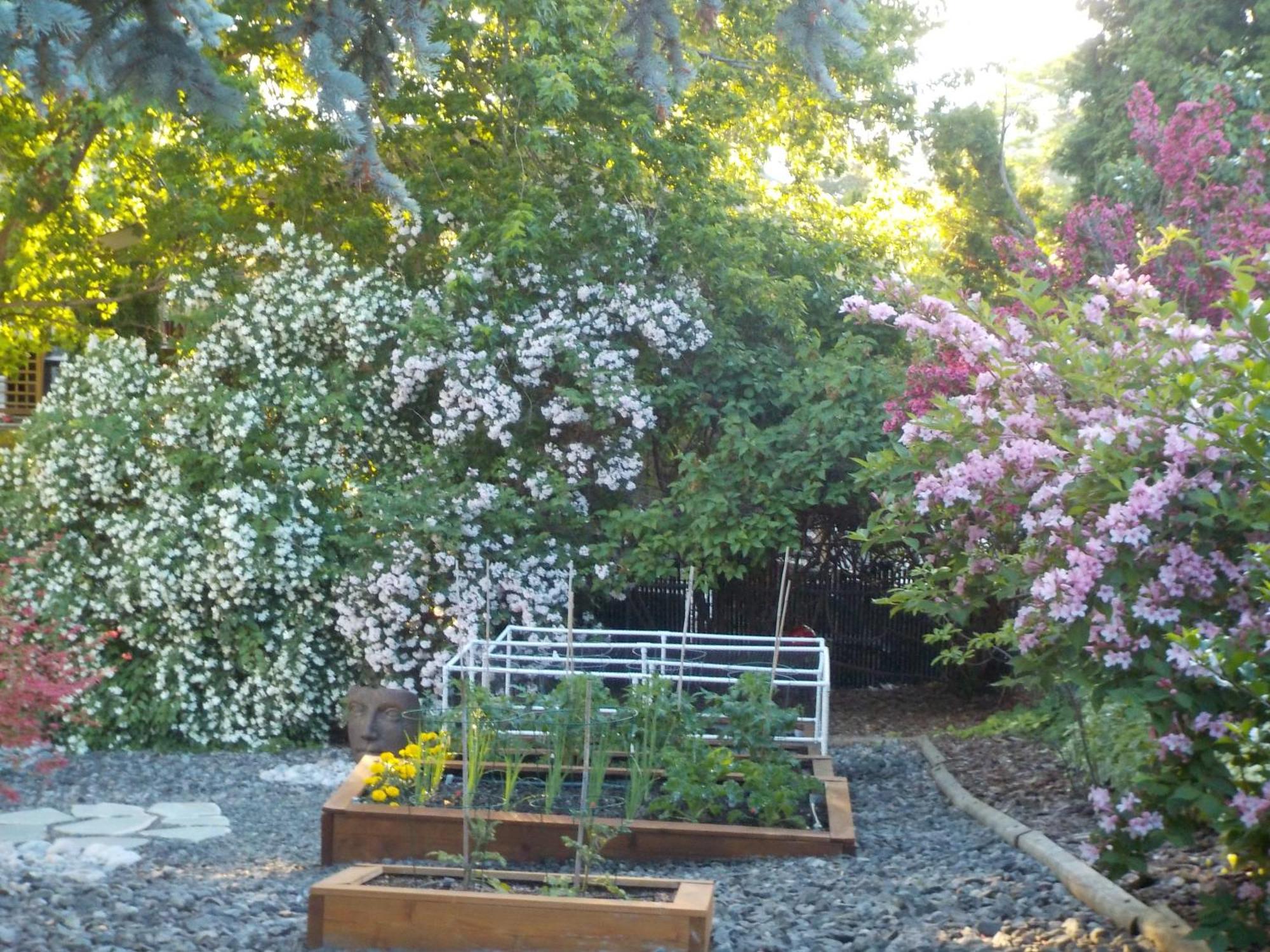 Dogwood Bed & Breakfast Summerland Exterior foto