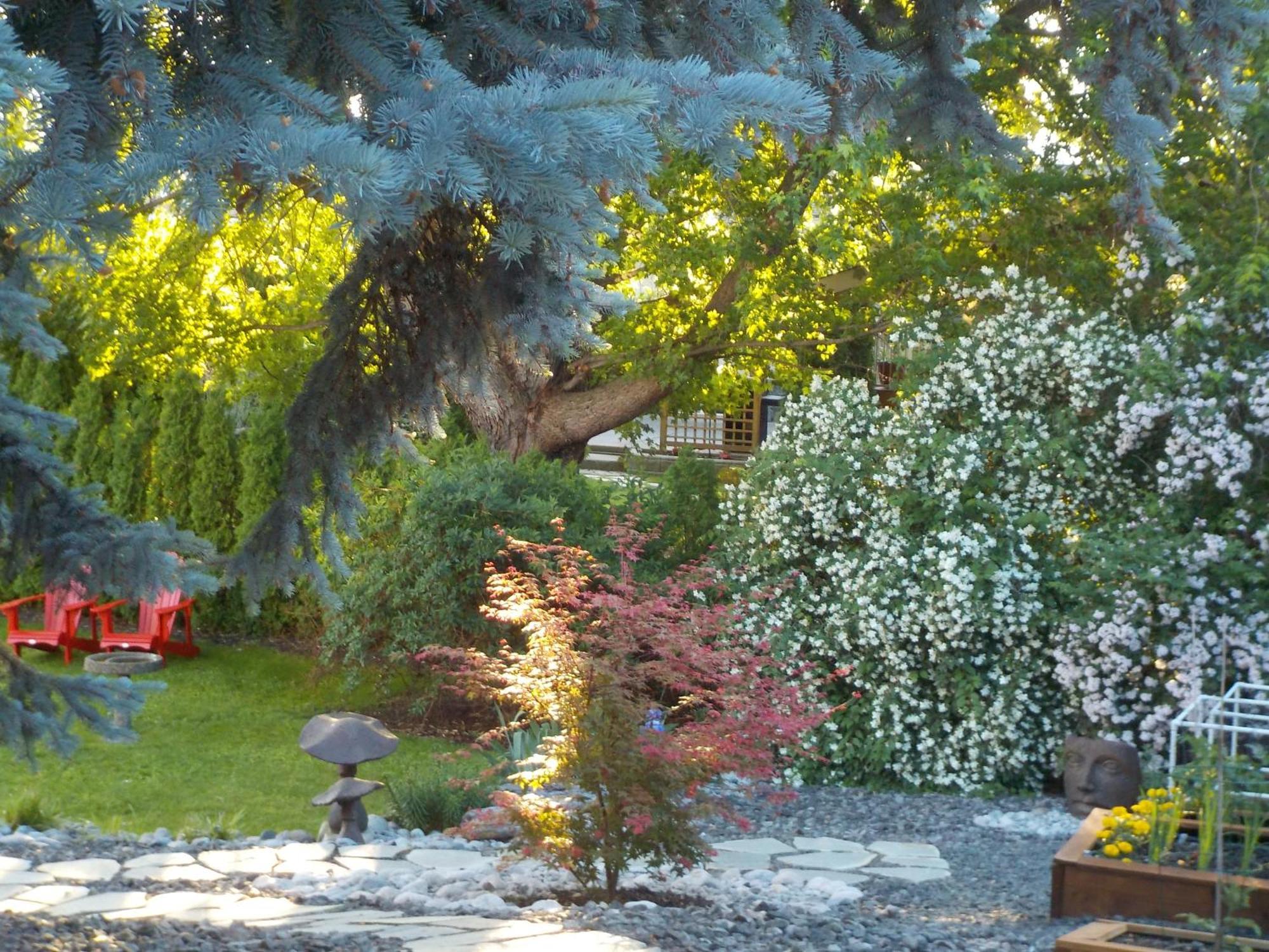 Dogwood Bed & Breakfast Summerland Exterior foto